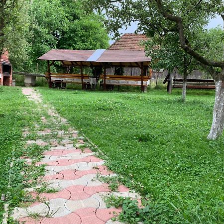 Vila Mogan Moieciu de Jos Exterior photo