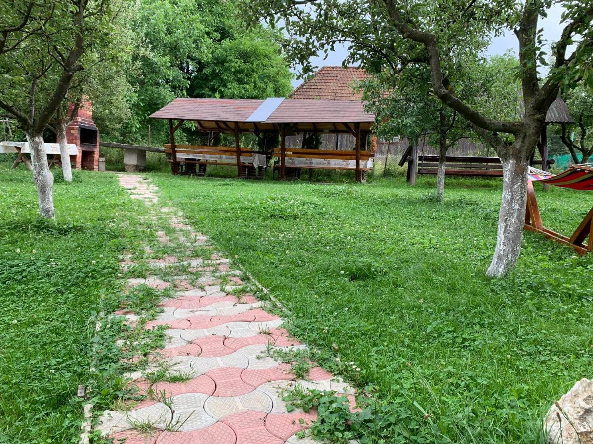 Vila Mogan Moieciu de Jos Exterior photo